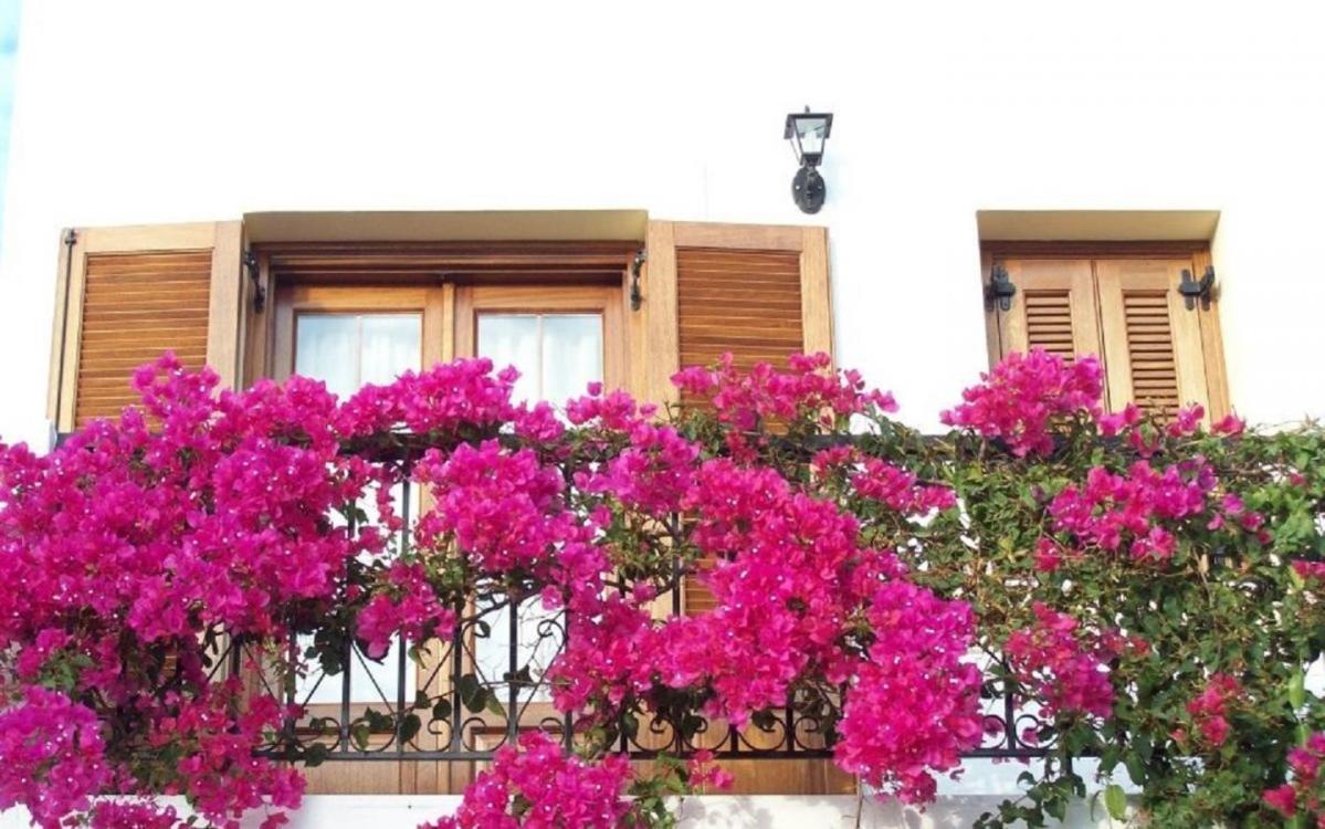 Benigna Appartement